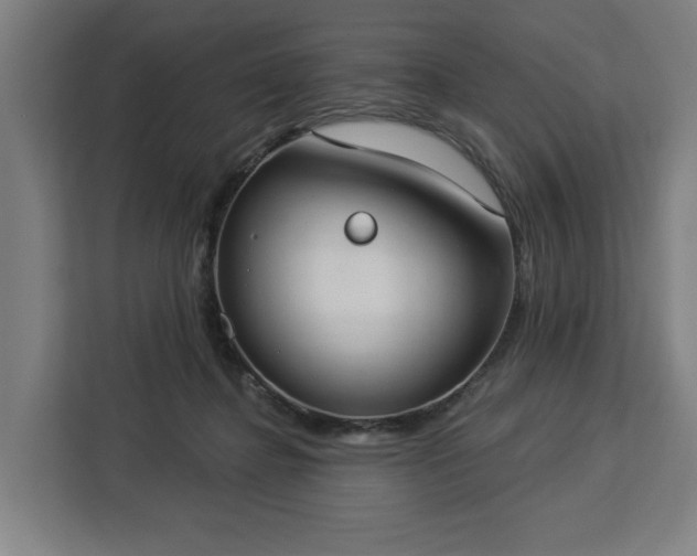 X0000112910364200908311242