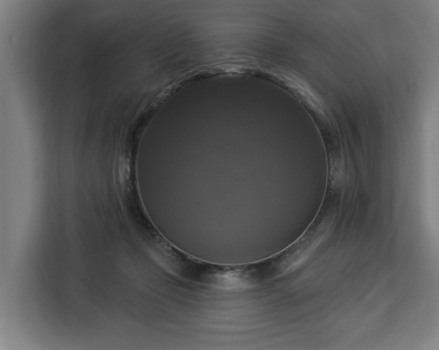 X0000112910365200908311242