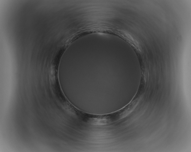 X0000112910366200908311242