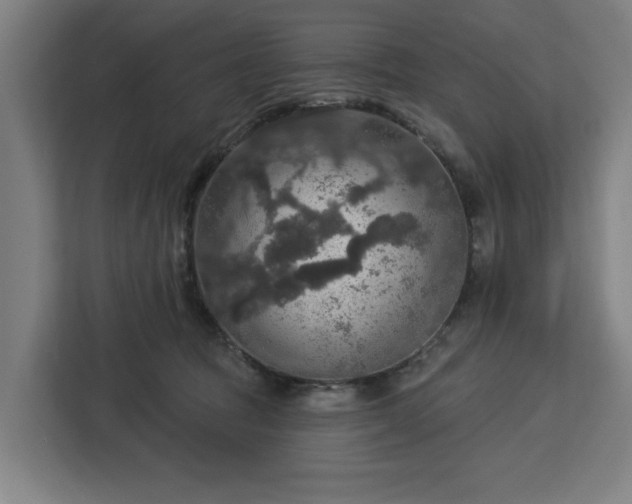 X0000112910369200908311242