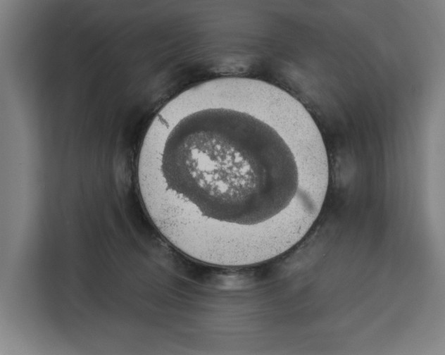 X0000112910370200908311242