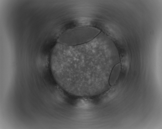 X0000112910372200908311242