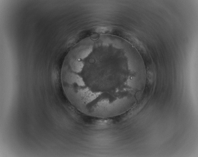 X0000112910375200908311242