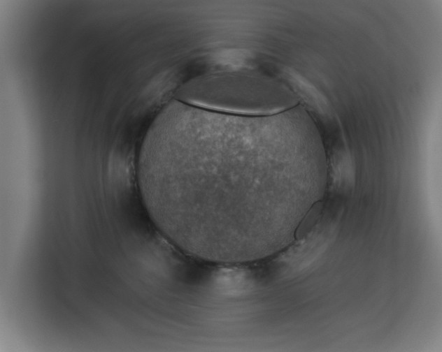 X0000112910376200908311242