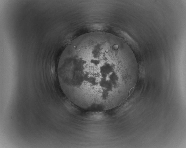 X0000112910377200908311242