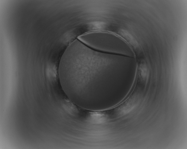 X0000112910380200908311242