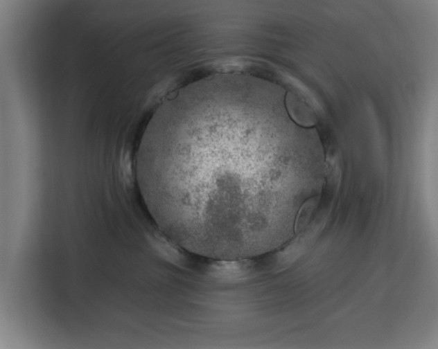 X0000112910381200908311242