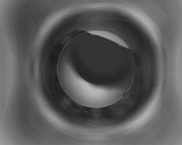 X0000112910382200908311242