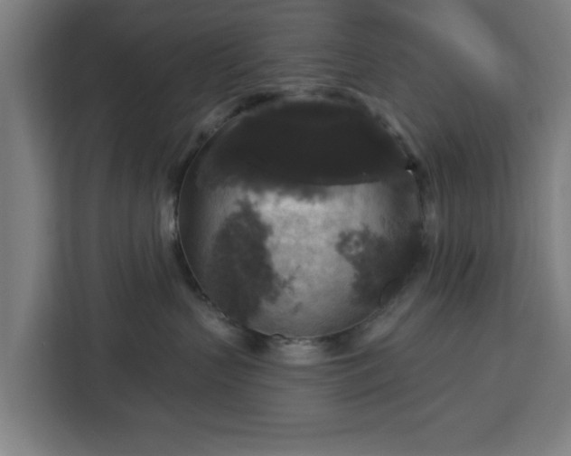 X0000112910383200908311242