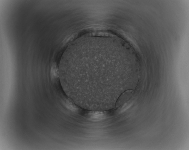 X0000112910384200908311242