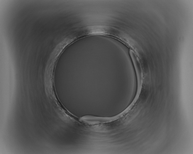 X0000112910385200908311241