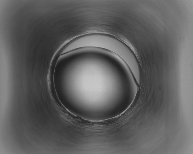 X0000112910387200908311241