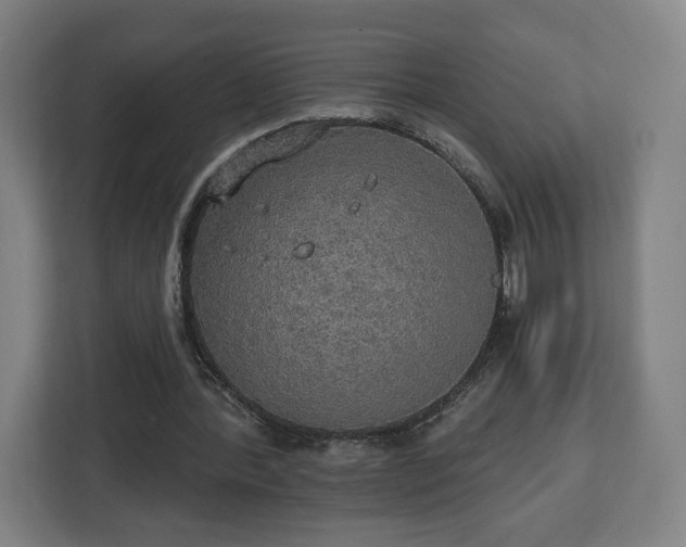 X0000112910388200908311241