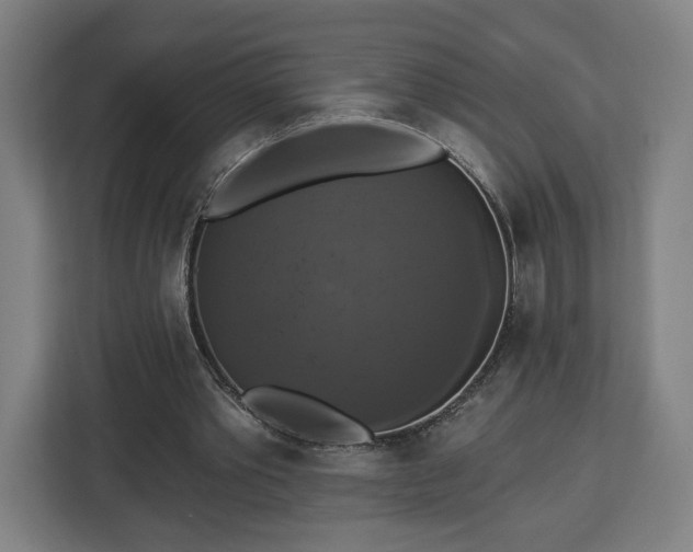 X0000112910389200908311241