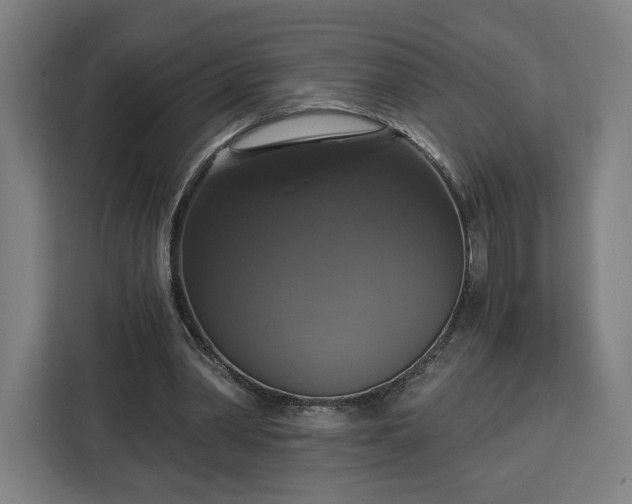 X0000112910390200908311241