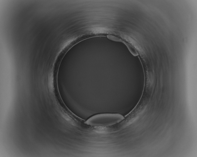 X0000112910391200908311241