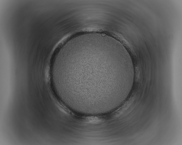 X0000112910392200908311241