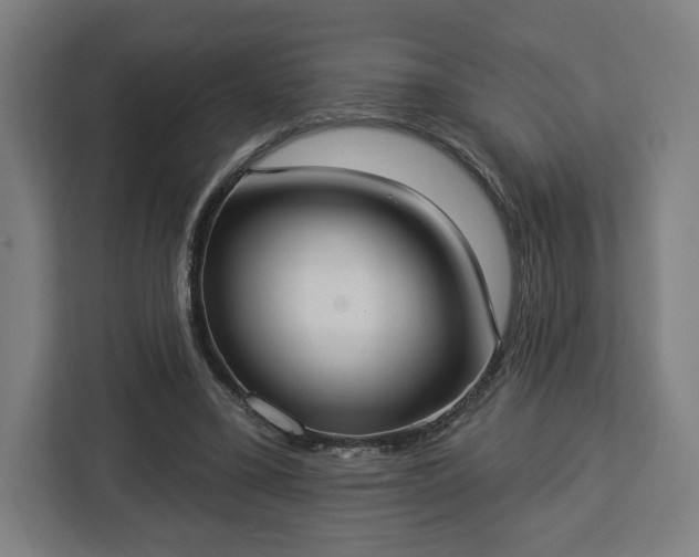 X0000112910395200908311241