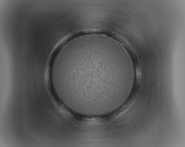 X0000112910396200908311241