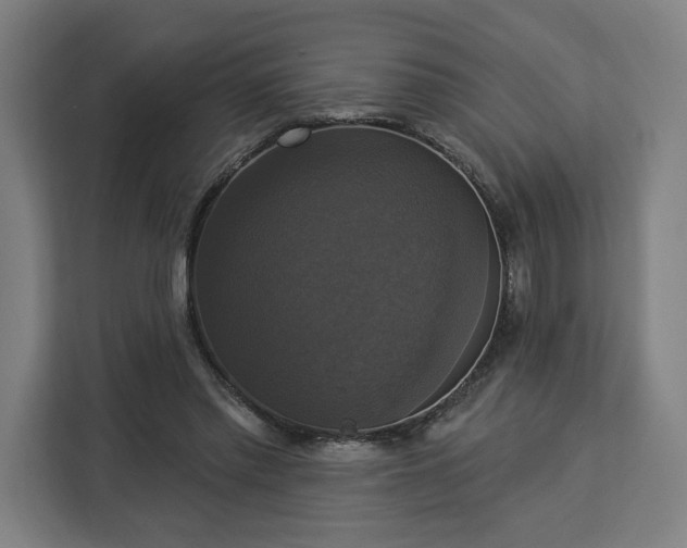 X0000112910397200908311241