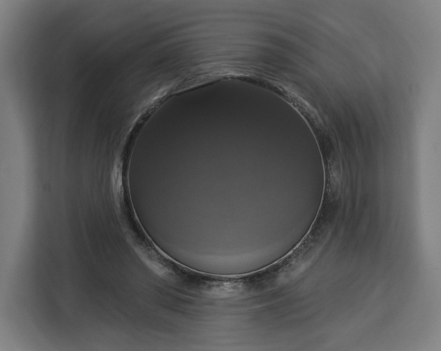 X0000112910398200908311241