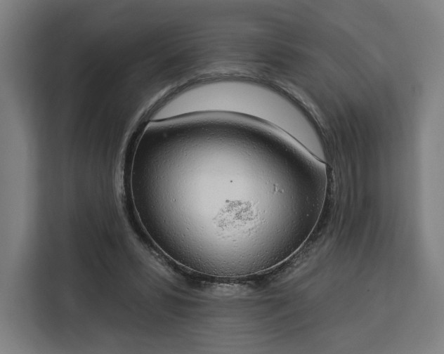 X0000112910399200908311241