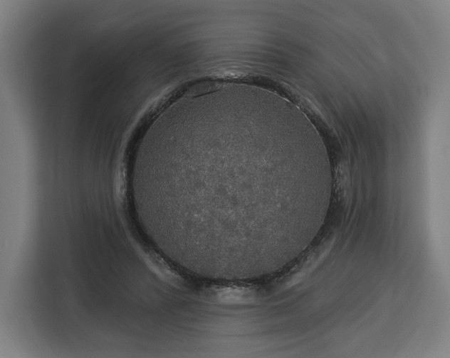 X0000112910400200908311241