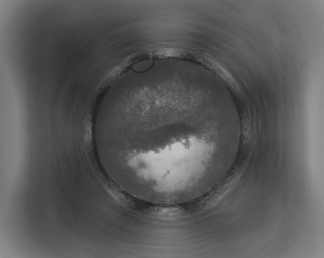 X0000112910401200908311241