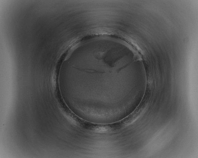 X0000112910402200908311241