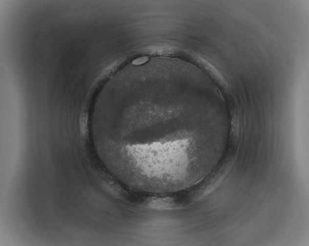 X0000112910403200908311241