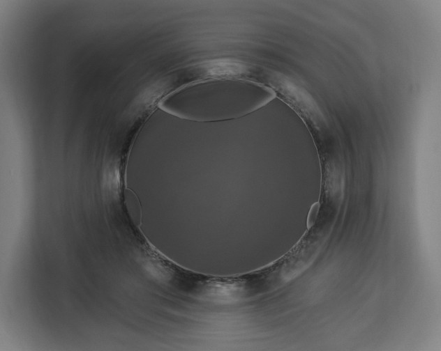 X0000112910405200908311241