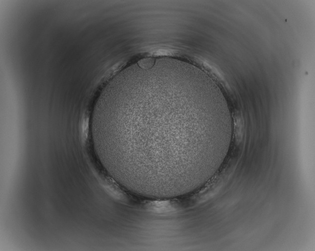 X0000112910406200908311241