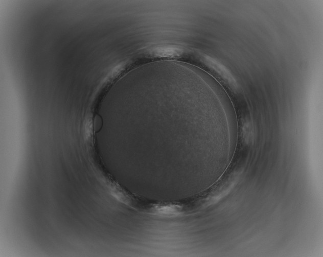 X0000112910407200908311241