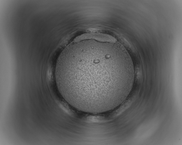 X0000112910408200908311241