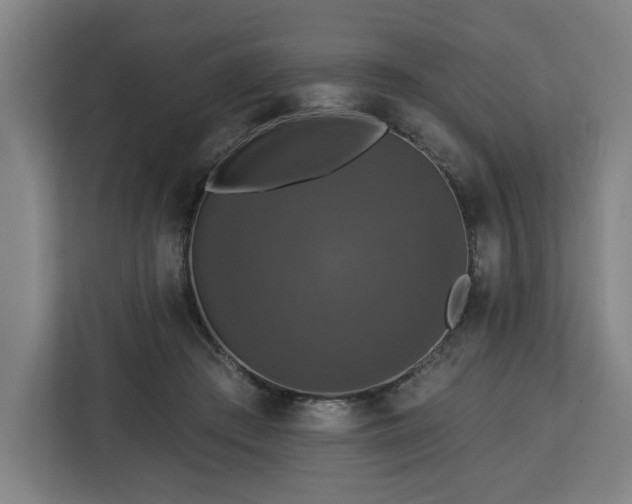 X0000112910409200908311241