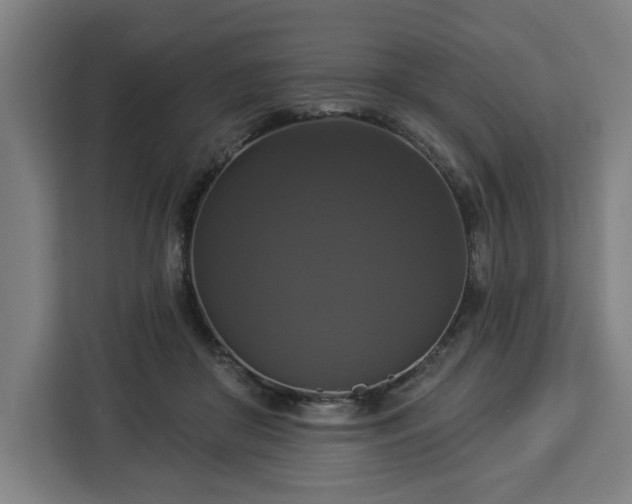 X0000112910410200908311241