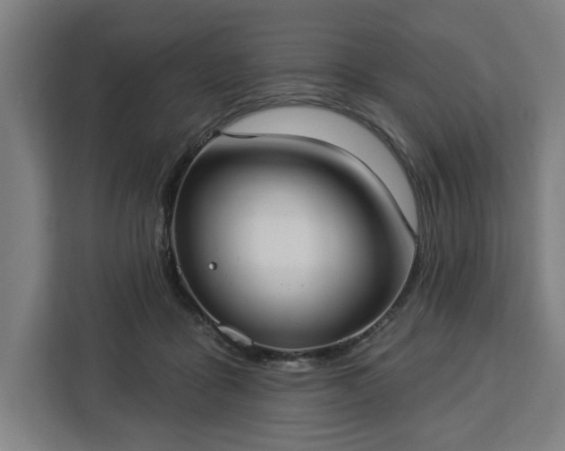 X0000112910411200908311241