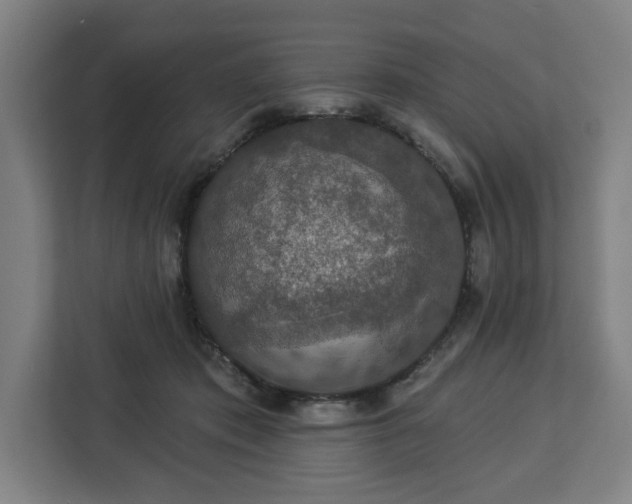 X0000112910413200908311241