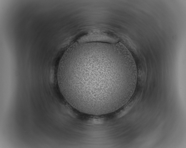 X0000112910416200908311241