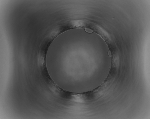 X0000112910417200908311241