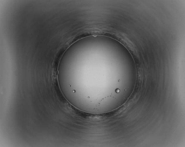 X0000112910419200908311241