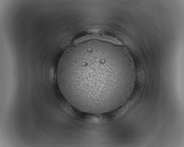 X0000112910420200908311241