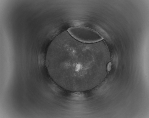 X0000112910421200908311241