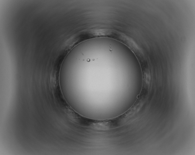 X0000112910422200908311241