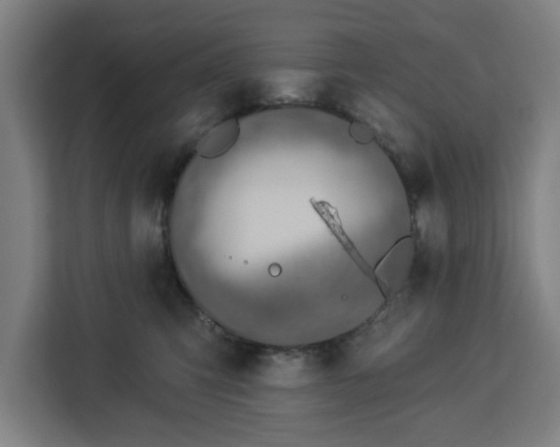 X0000112910423200908311241