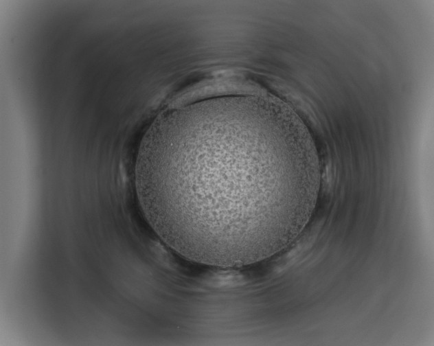 X0000112910424200908311241