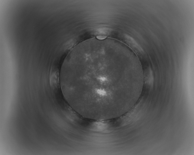 X0000112910425200908311241