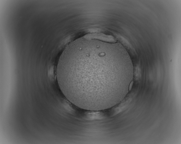 X0000112910428200908311241