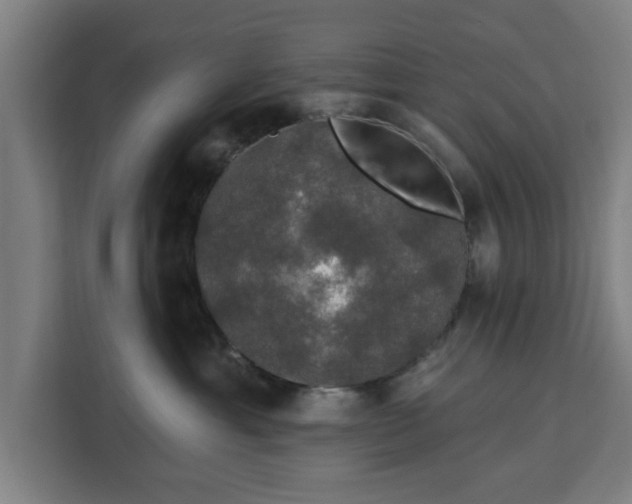 X0000112910429200908311241