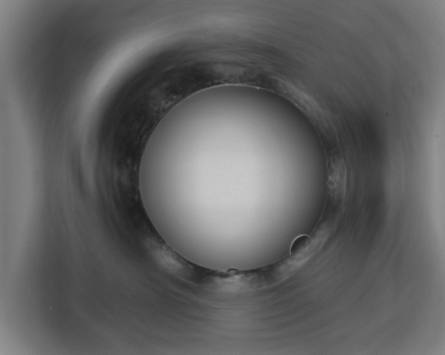 X0000112910430200908311241